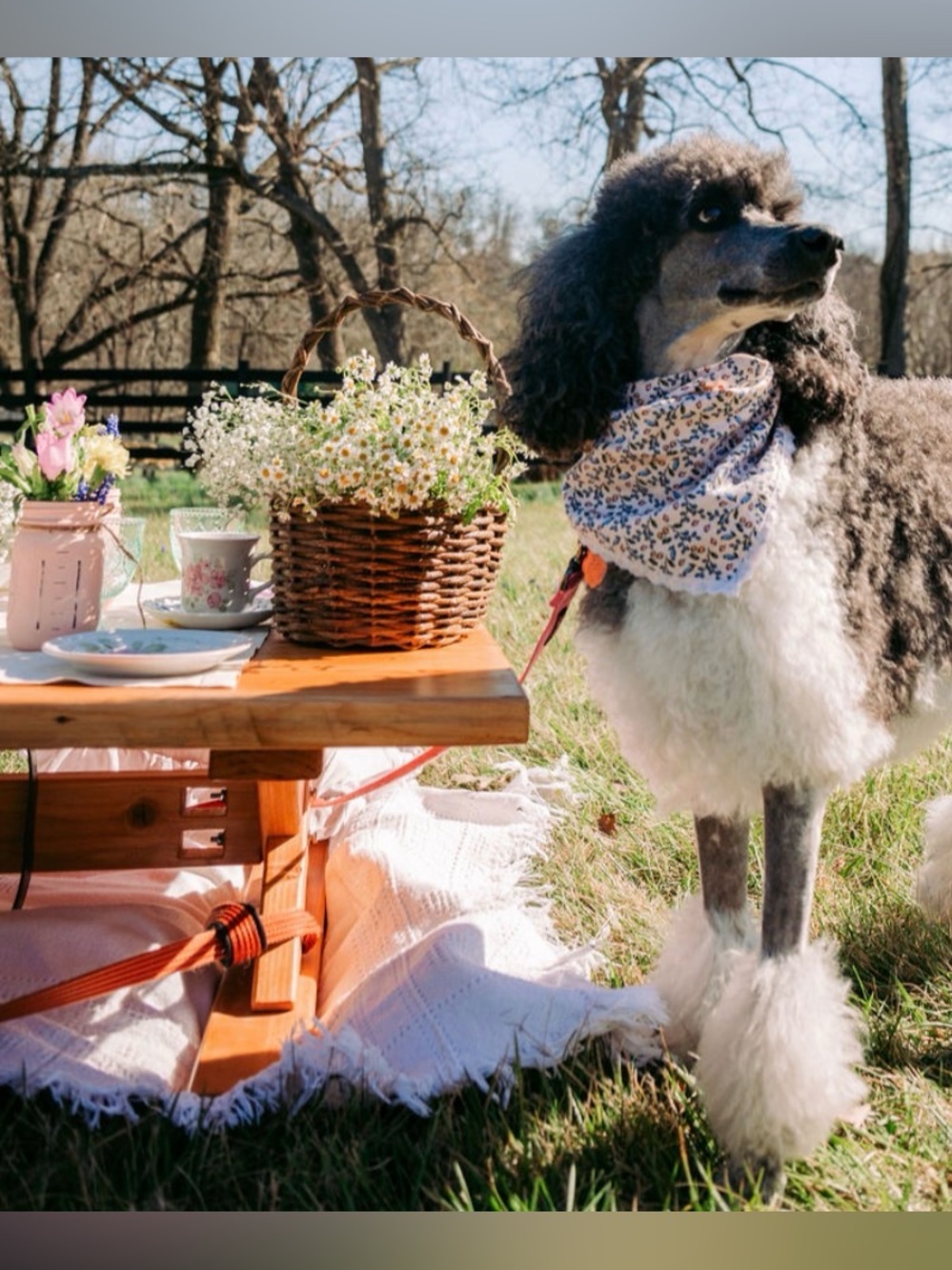 Mason jar set of three flowers not included